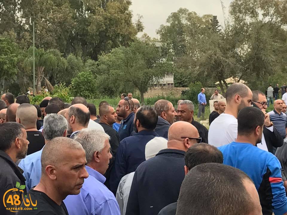 tasheey3 jothman mqj (5).jpg